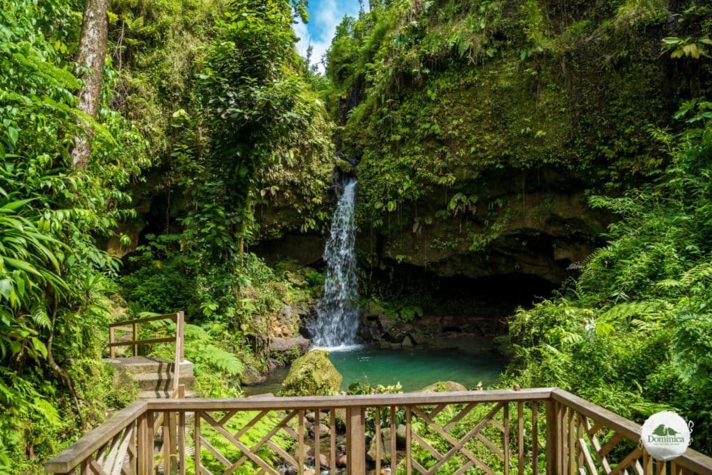 Emerald Pool 翡翠池  多米尼克介绍 自然景观 Dominica, the Nature Island in Caribbean 加勒比的天然之岛