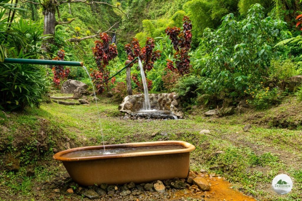 Ti Kwen Glo Cho Hot Springs 温泉 多米尼克介绍 自然景观 Dominica, the Nature Island in Caribbean 加勒比的天然之岛