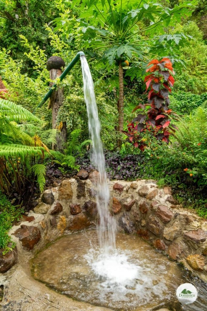 Ti Kwen Glo Cho Hot Springs 温泉 多米尼克介绍 自然景观 Dominica, the Nature Island in Caribbean 加勒比的天然之岛