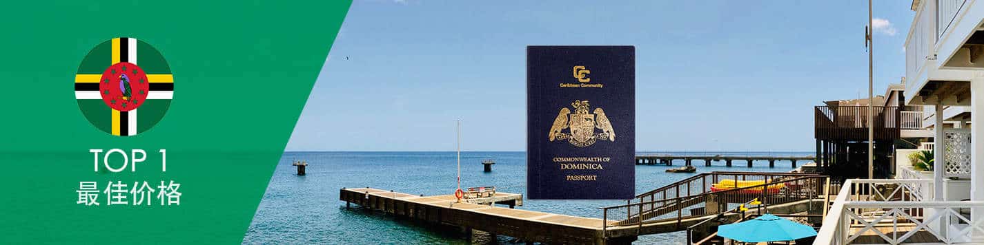st-kitts-dominica-turkey-passport-citizenship-comparison