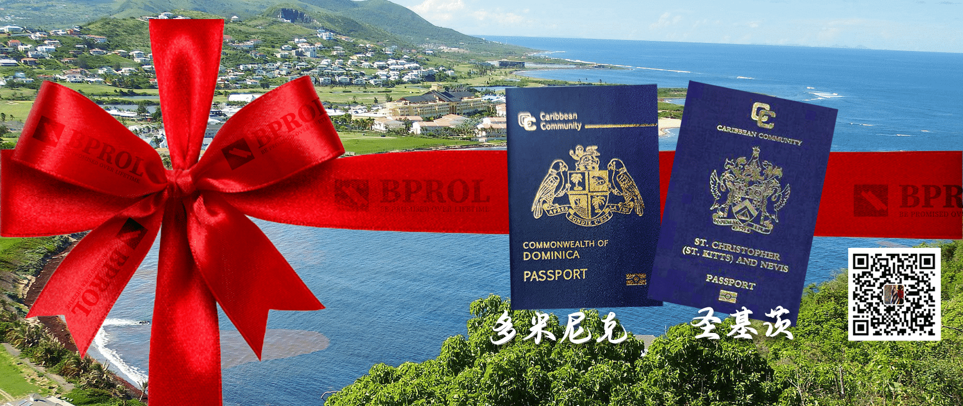 2022 東カリブ海パスポート アメリカ大陸で暮らす デジタル資産の世界的リーダーになる 6カ国で完全市民権への一歩 OECS ドミニカ  セントクリストファー・グレナダ セントビンセント・グレナディーン セントルシア アンティグア 合法デジタル通貨 ドミニカパスポート - Yahoo!