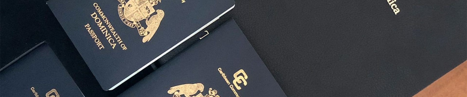 英联邦多米尼克护照，申请资格、价格优势、免签国家
